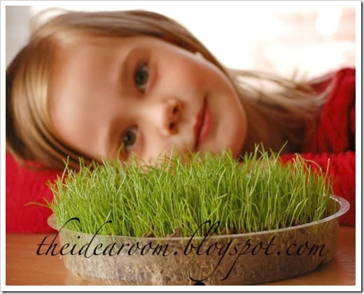 Grow Real Easter Basket Grass - The Idea Room