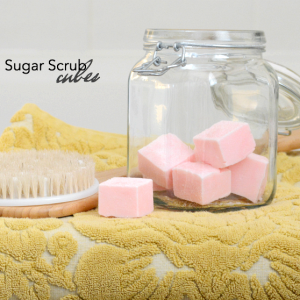 Sugar Scrub Cubes - The Idea Room