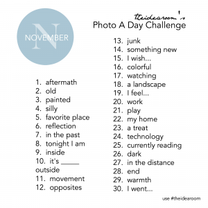 November Photo A Day Challenge - The Idea Room