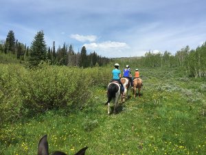 Fun Things to do with Kids in the Heber Valley - The Idea Room