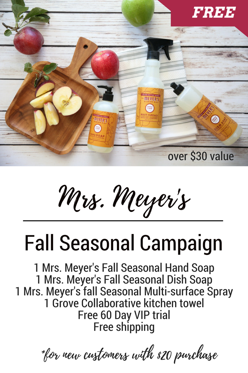Mrs. Meyers Fall Seasonal Kit is Back The Idea Room