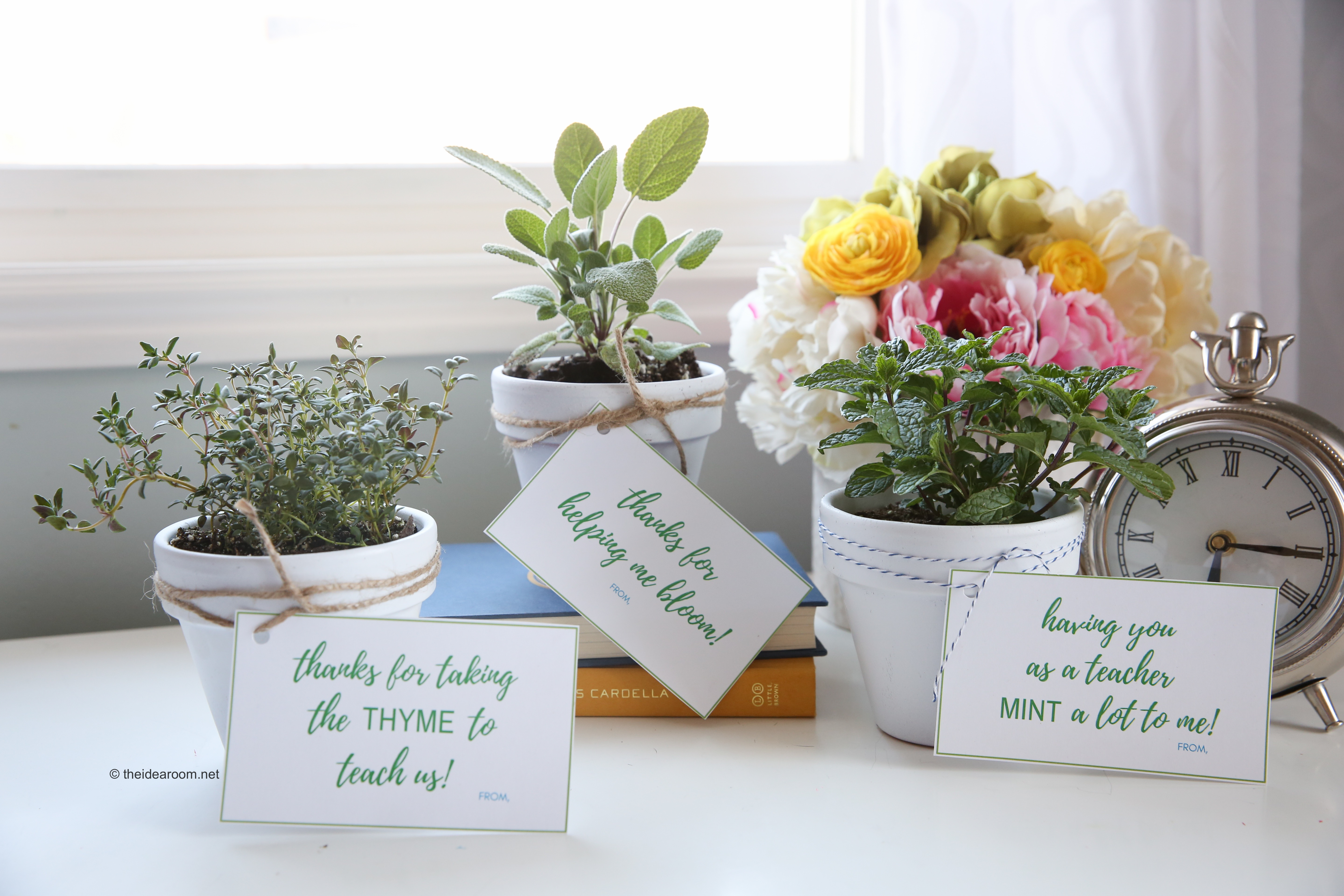 Potted Plant Gifts Delivered to Ottawa
